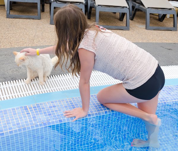 Pet Near Pool