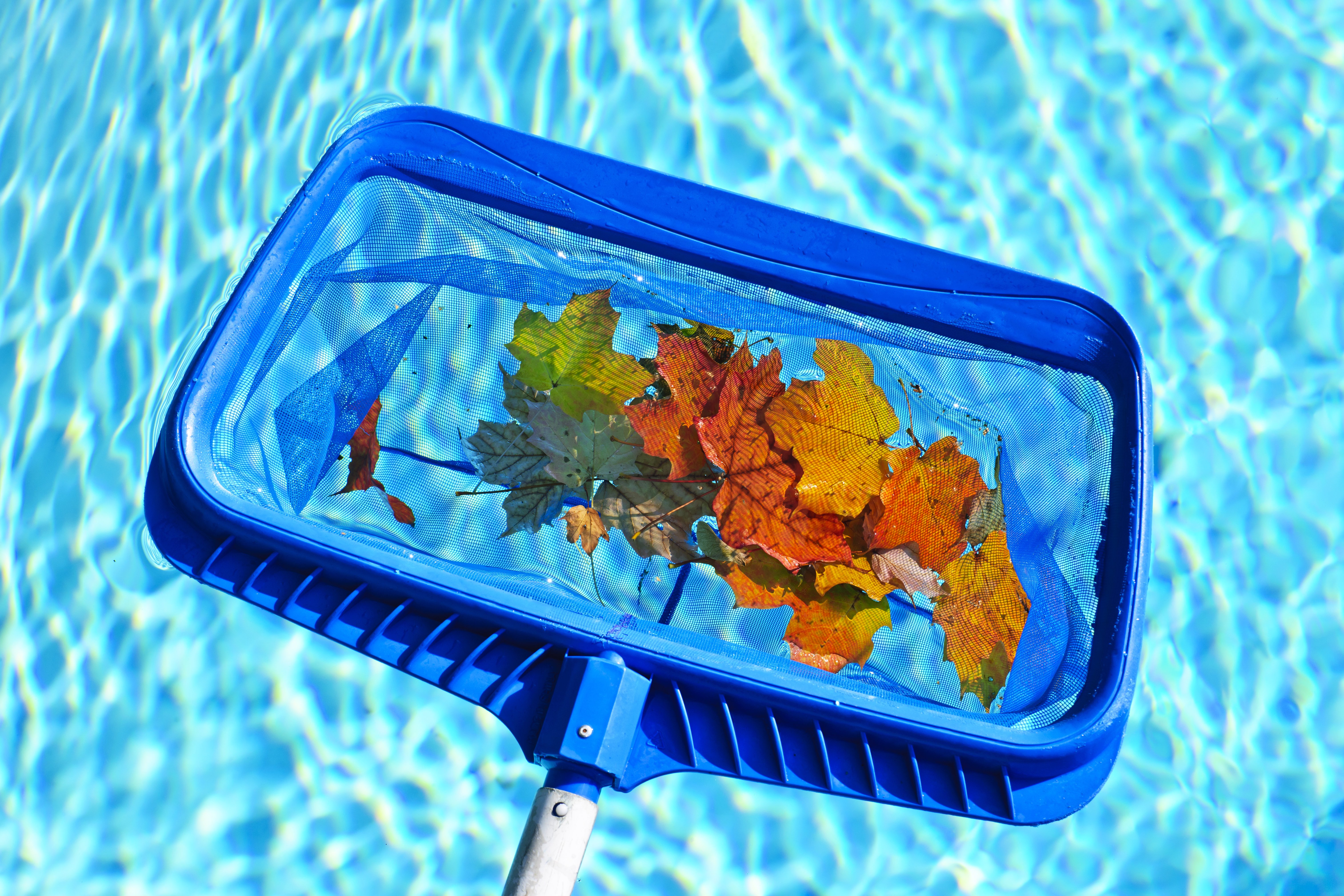 Autumn Pool Cleanup