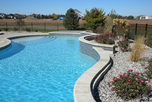 Sylvania Swimming Pool